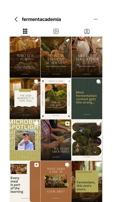 Instagram feed design